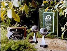 UNEP awards