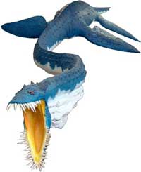 Pleisiosaur