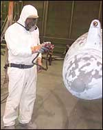 Removing paint from propeller