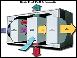 Basic Fuel Cell Schematic