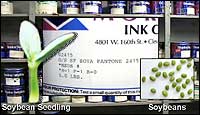 Inks made from soybeans
