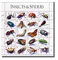 Insects and Spiders