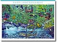Pacific Coast Rain Forest