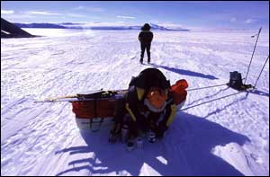 Repair to solar panel