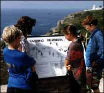 Students reading information about sea birds