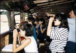 Students bird watching