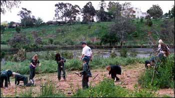 Cleaning waterways in Victoria